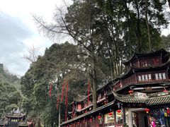 -青城山