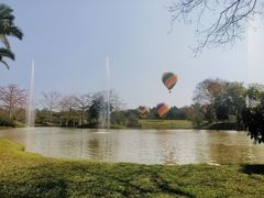 -中国科学院西双版纳热带植物园