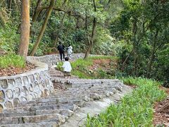 -黄埔油麻山森林公园