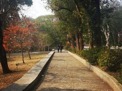 -路思义教堂