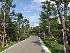 步道-迎泽公园