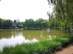 -泰丰公园