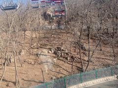 -青岛中山公园-索道售票处