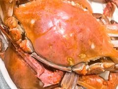 -北塘海鲜·天津菜·鲅鱼水饺是一绝(大光明桥旗舰店)