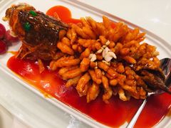 -松鹤楼·非遗·苏帮菜(融科店)