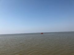 -哈素海