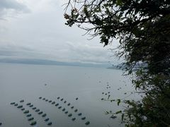 -抚仙湖禄充风景区