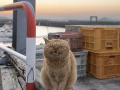 -Apple零售店(华贸购物中心店)