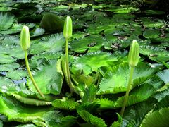 景点-广州珠江公园