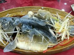 清蒸冷水鱼-乡土特色.冷锅鱼.牦牛肉汤锅