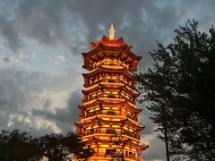 -洋湖国家湿地公园