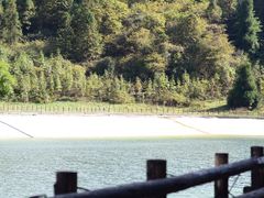 -武陵山森林公园