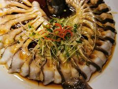 清蒸武昌鱼-小凤庭·地道湖北菜武昌鱼·铫子藕汤(黄鹤楼店)