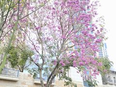 -茶油香闽南菜·花园餐厅(前埔店)