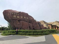 -黑瞎子岛探秘野熊园