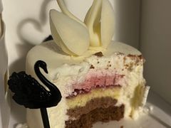 -BLACKSWAN黑天鹅(环球店)