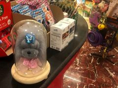 -多卡布奇宠物生活馆(上林世家店)