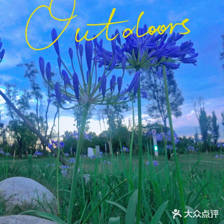 成都情侣必去的公园，很适合拍照