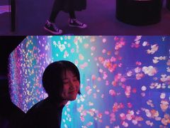 -成都浩海立方海洋公园