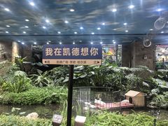 -凯德广场(学府店)