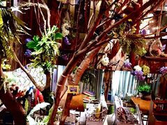 -范设计花园餐酒咖·中西餐·咖啡厅·酒馆