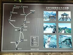-大岭沟猕猴桃谷风景区