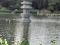 -木塔寺遗址生态公园