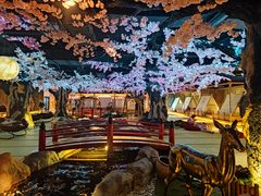 -蓝鲸湾汤泉(包河店)