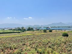 -君乐宝优致牧场