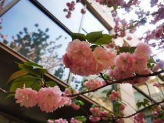 -阳澄湖费尔蒙酒店颐丰阁中餐厅(马鞍山西路店)