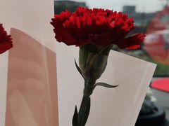 -星星国际影城(激光松山湖店)