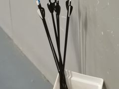 -蓝天射箭馆·专业射箭运动(诚丰广场店)