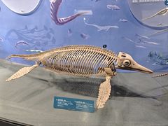 -国家自然博物馆