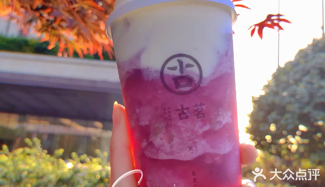 古茗芝士多肉葡萄回归