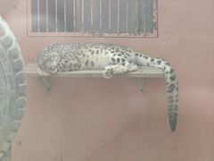 -青藏高原野生动物园