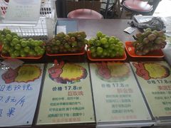 -马陆小张葡萄园农家乐