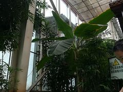 -龙达温泉生态城