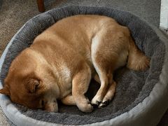 -三目仓咖啡(贤南路店)