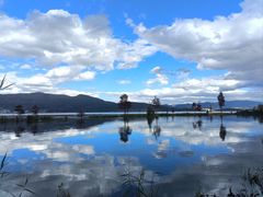 -嘉华鲜花饼·现烤(昆明老街店)