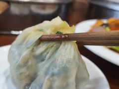 素包子-东京包子楼(政七街店)