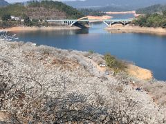 -广州市流溪河国家森林公园