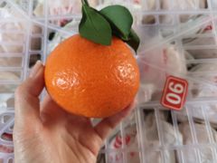 -东方鼎信农副产品交易中心