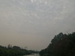 -大湾区中央湿地公园