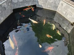 -西安市广仁寺