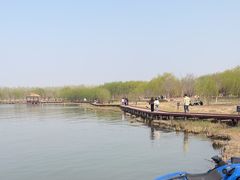 -西青郊野公园