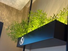 -华夏良子·足道SPA艾灸(王府井店)