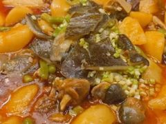 土豆烧甲鱼-仁宇品菜馆(人南店)
