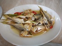 -老三鱼仔店