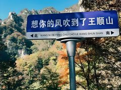 -王顺山国家森林公园