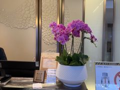 -清能楚天大酒店(深圳福田口岸会展中心店)